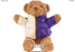 Supreme The North Face Bear Tan Plush Toy SS24 CONFIRMED