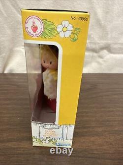 Vintage Kenner Strawberry Shortcake Butter Cookie Doll with Jelly Bear Pet Sealed